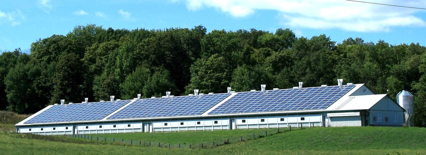 A descriptive alt text for the image.